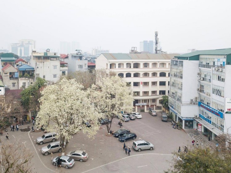 Trường Đại học quốc gia Hà Nội