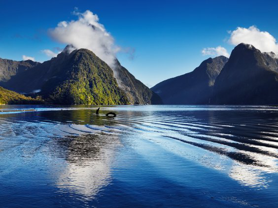 New Zealand