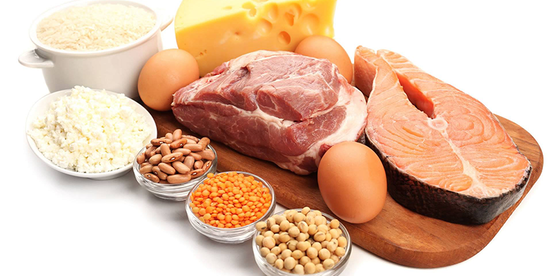 thực phẩm chứa nhiều protein
